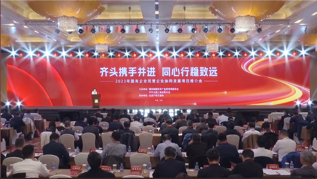 瑞立集團董事長張曉平出席2023年國有企業民營企業協同發展項目推介會并作主題發言