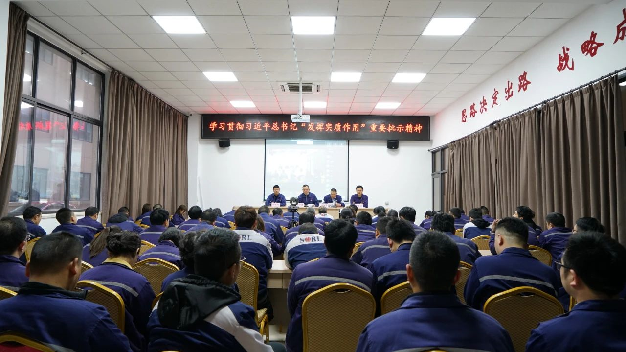 強黨建 促發(fā)展丨瑞立集團黨委召開專題學(xué)習(xí)會議